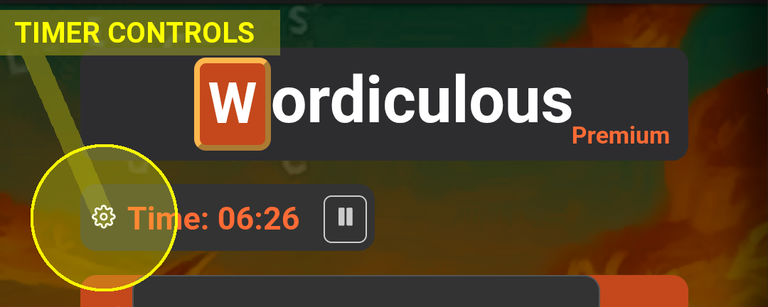 The gear beside the timer controls the length of time when enabled.